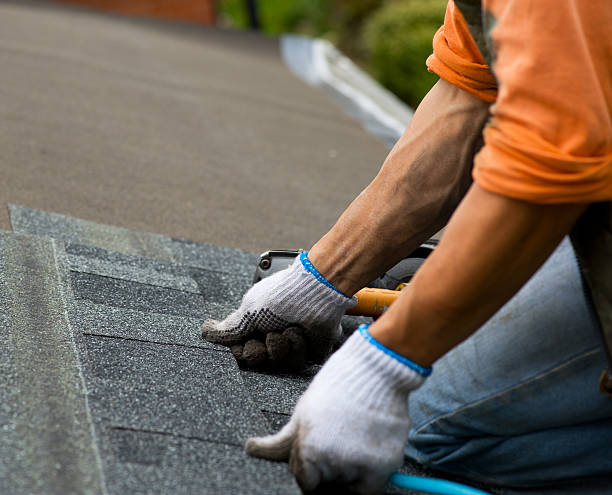 Best Storm Damage Roof Repair  in Newark, TX