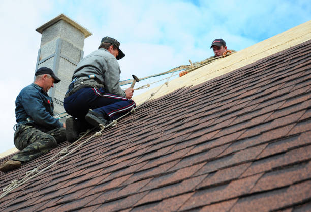 Best Metal Roofing Contractor  in Newark, TX